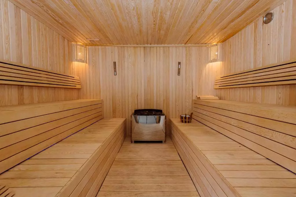 اسپوتنیک باتومی