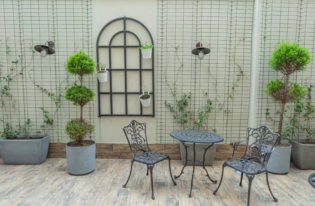 بلوم باتومی