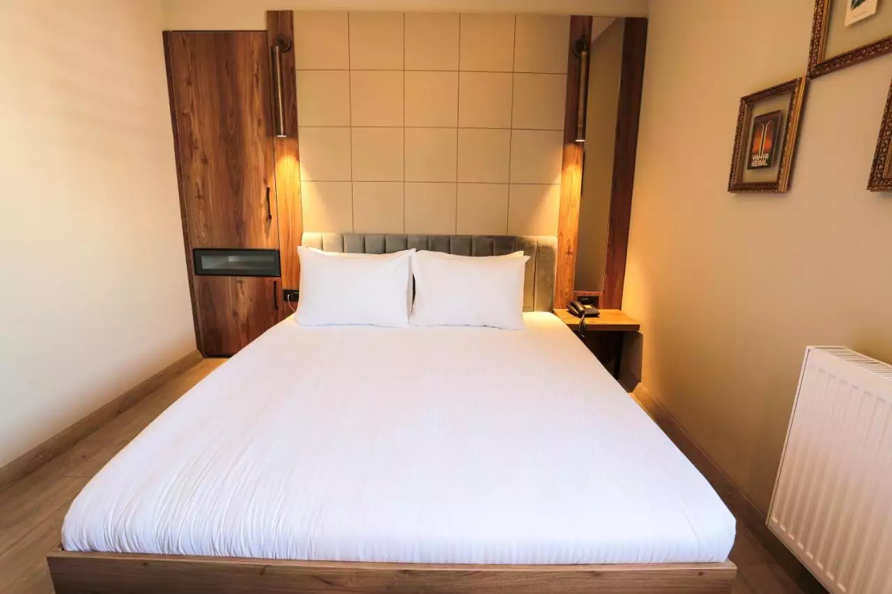 آراچ هاربی استانبول