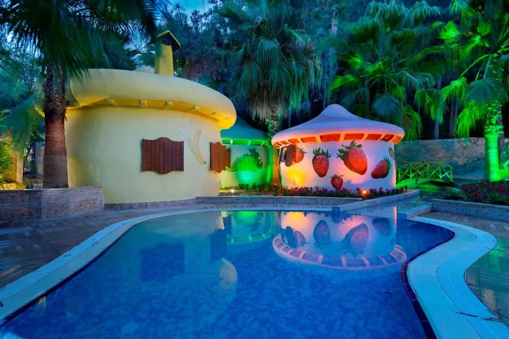 مایسی اینسکوم