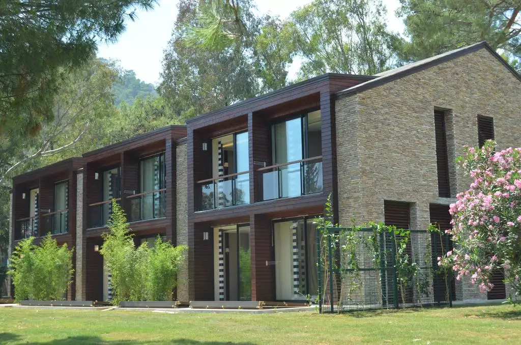 ریکسوس پرمیوم گوچیک