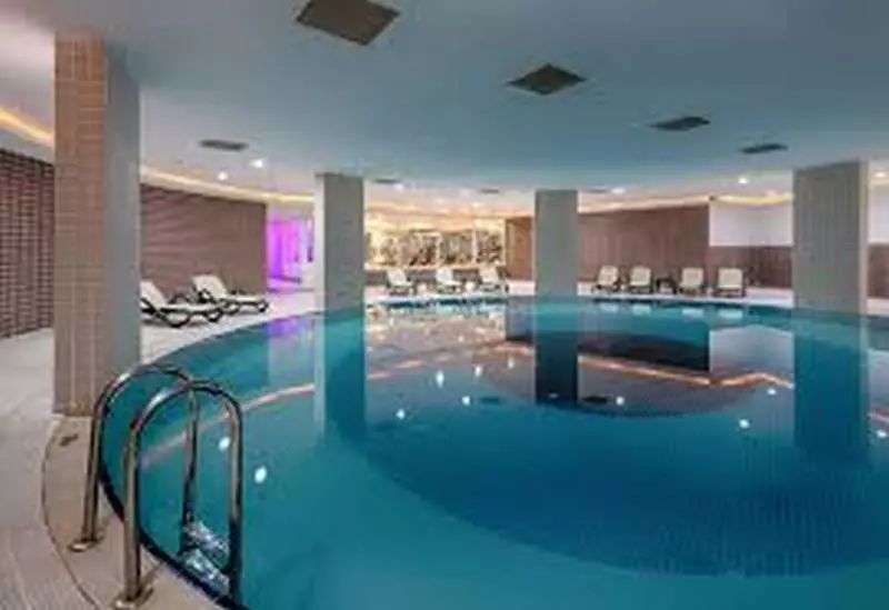 پالمت فمیلی لارا