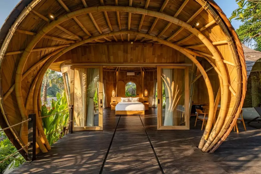 جنگل ایت بالی