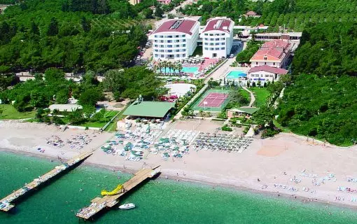 رینگ بیچ کمر