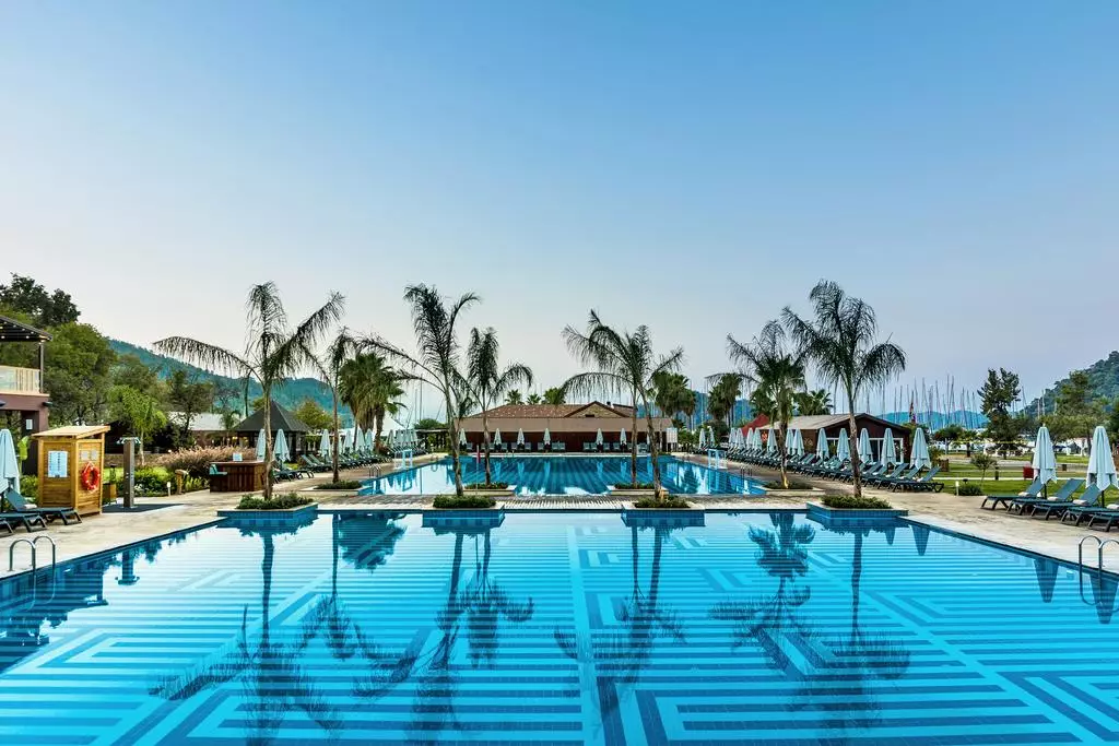 ریکسوس پرمیوم گوچیک