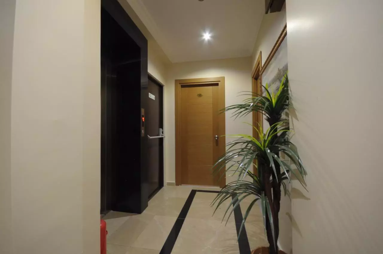 پرا لایف استانبول