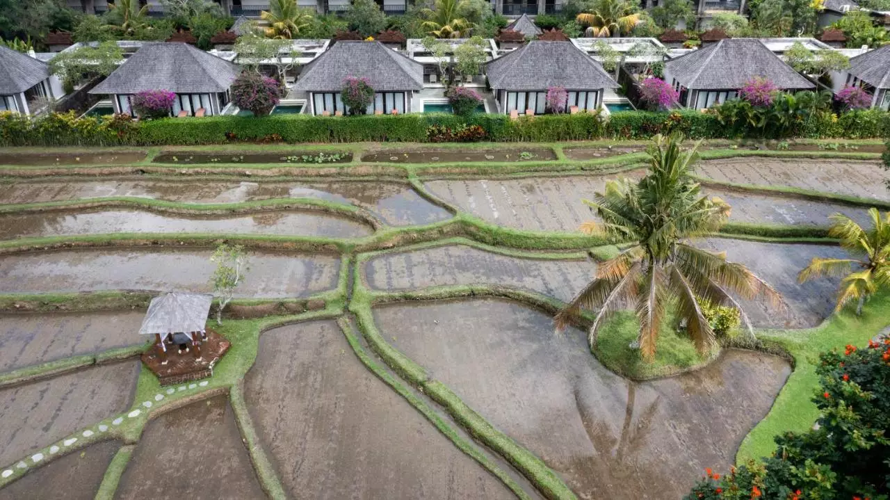 ویسسا ریزورت