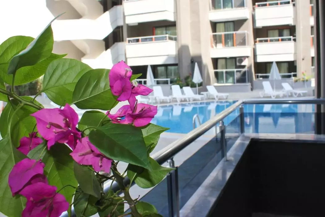 اسکیلاکس فمیلی کلاب