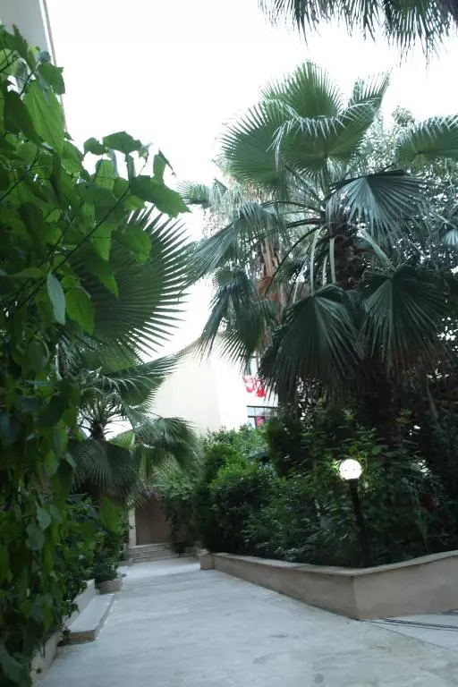 آکاسیا ریزورت