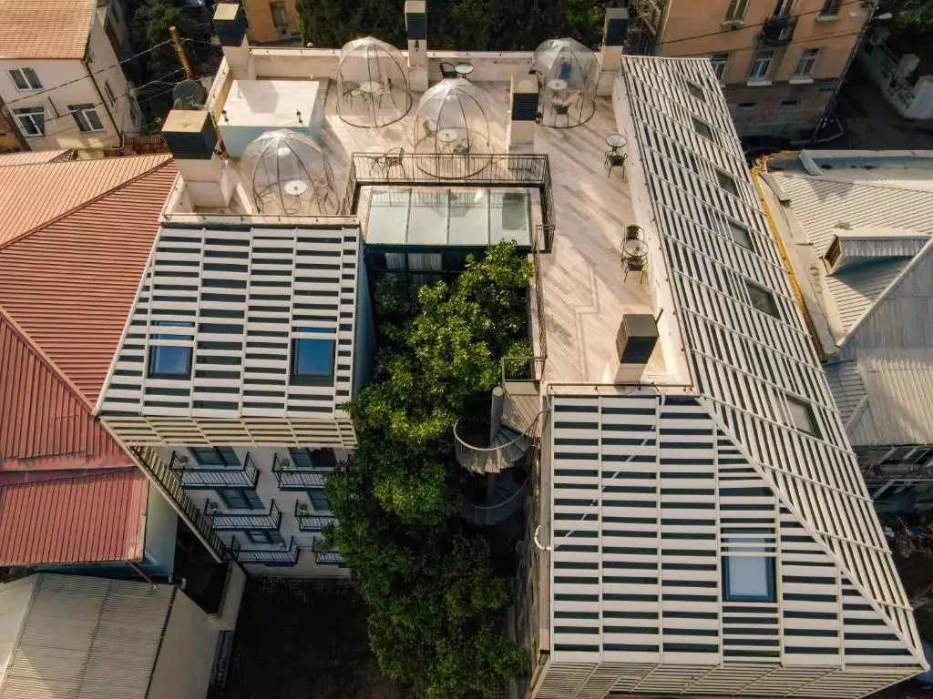 مگنولیا تفلیس