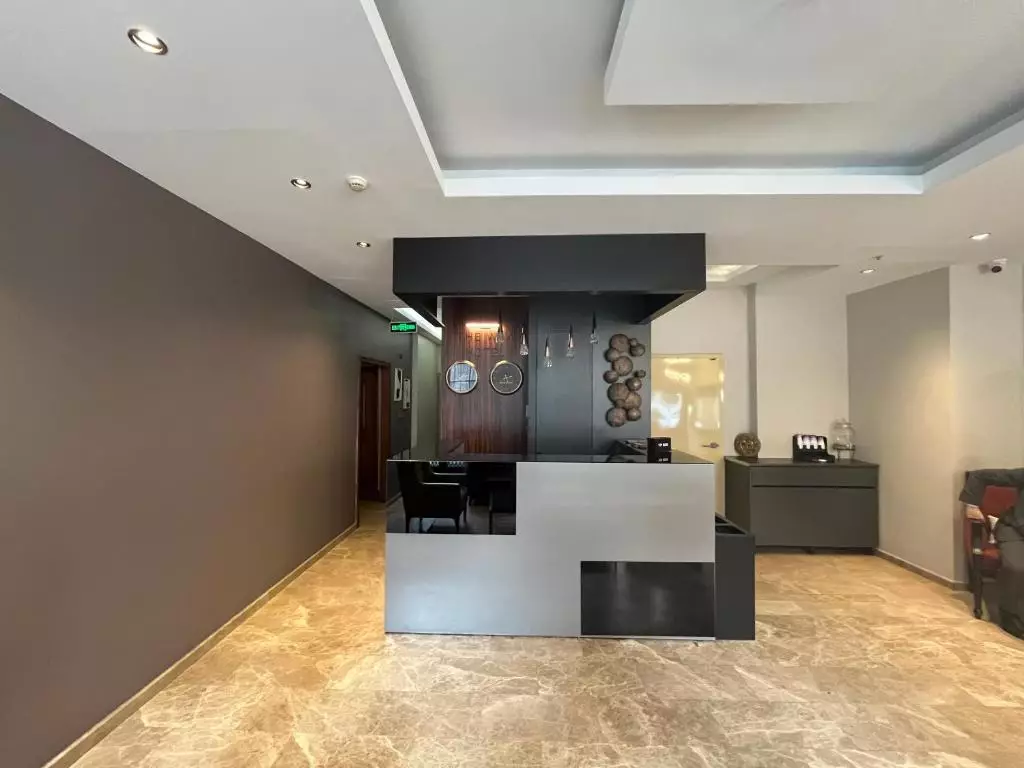 وی استانبول