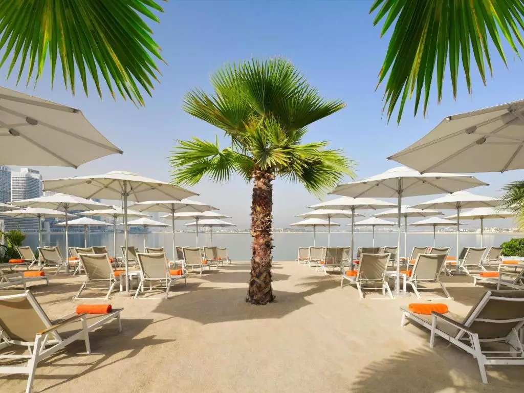 اداجیو پریمیوم د پالم دبی