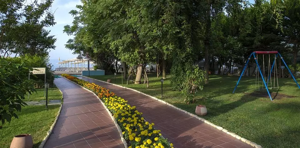 لیکوس بیچ آلانیا