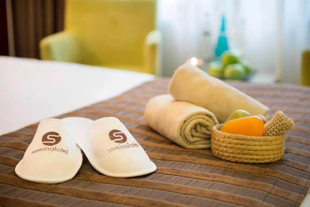 سمینال استانبول