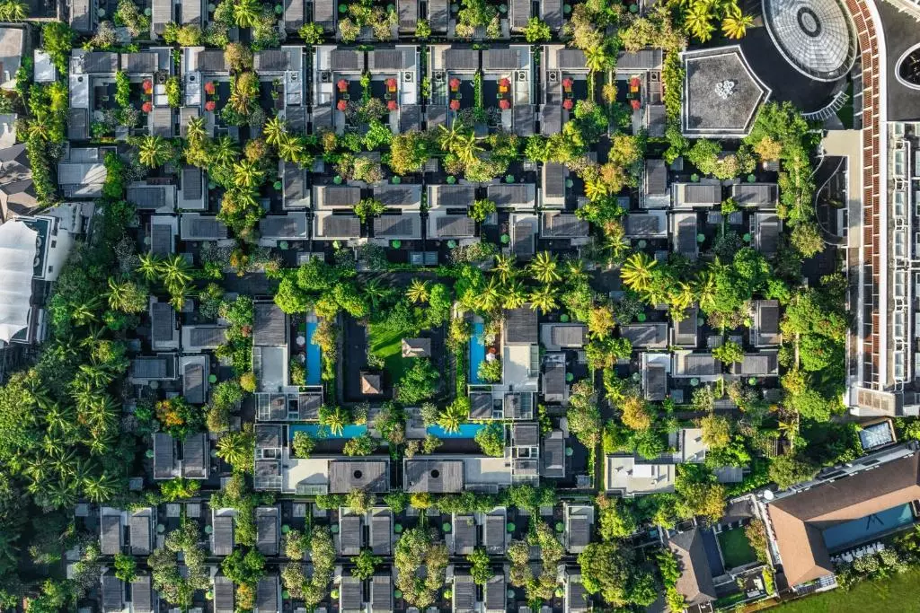 دبلیو بالی سمینیاک