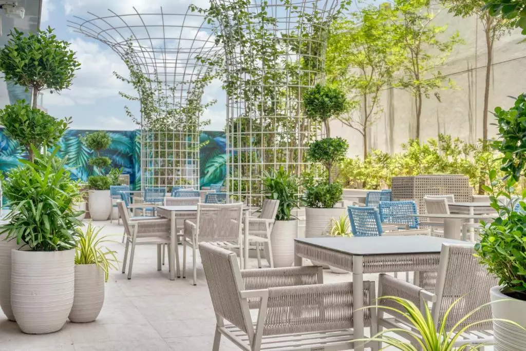 د فرست کالکشن بیزینس بی دبی