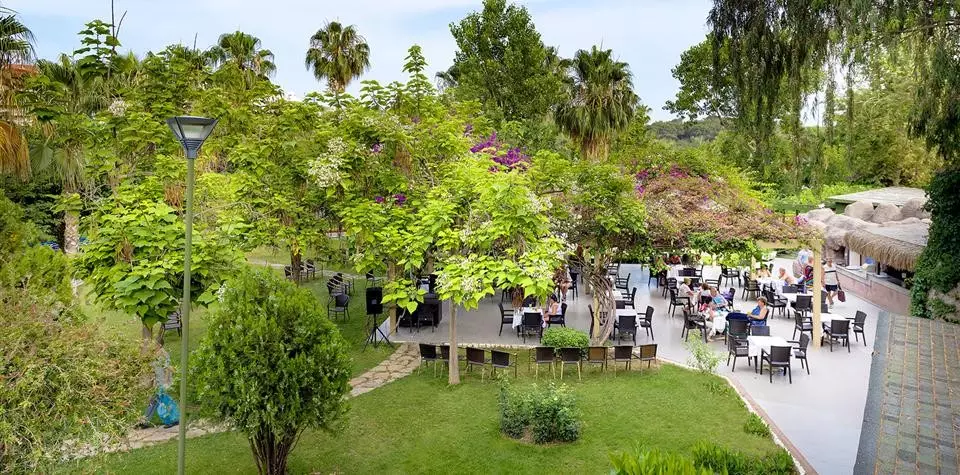 لیکوس بیچ آلانیا