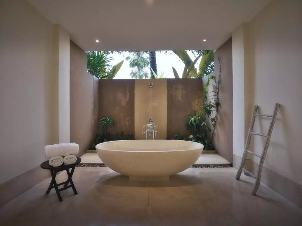 ناندینی بالی جونگل