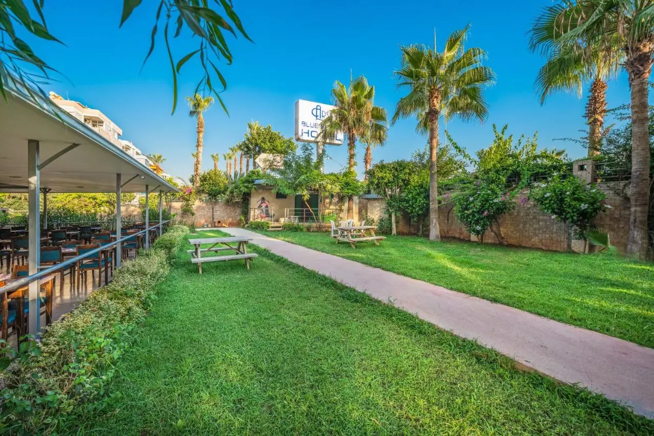 آرسی بلو بیچ