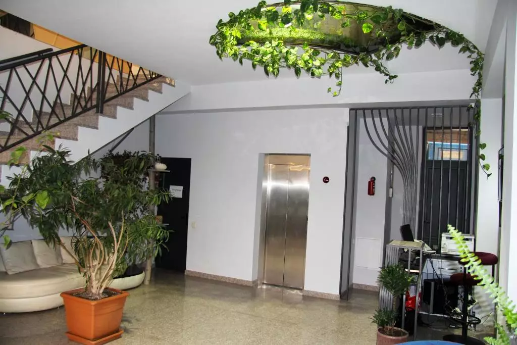 نایس ایروان