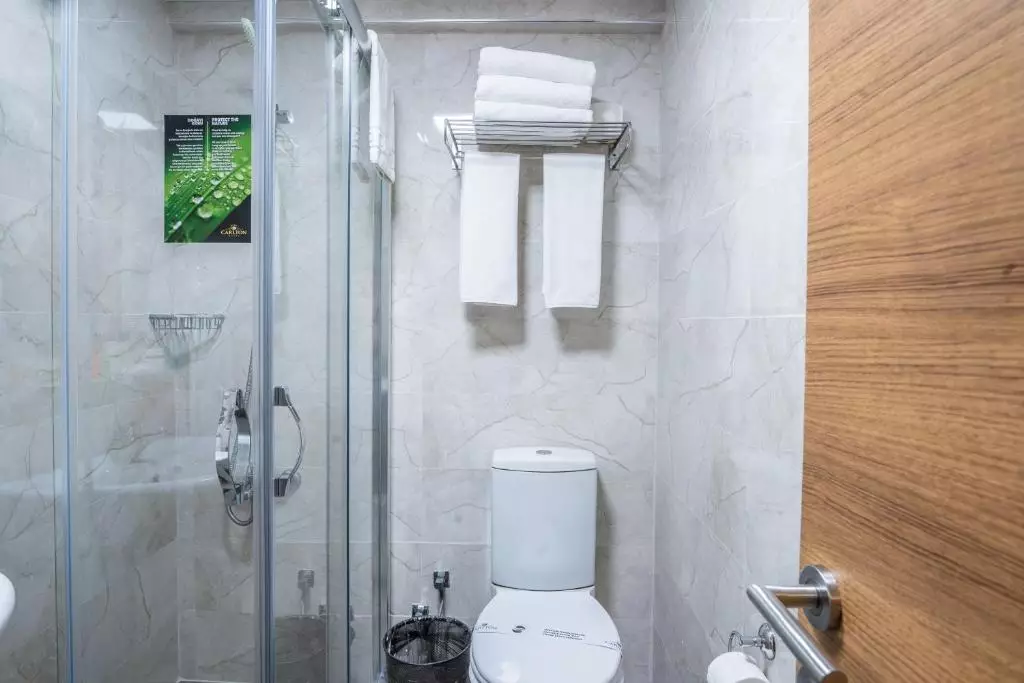 کارلتون الد سیتی استانبول