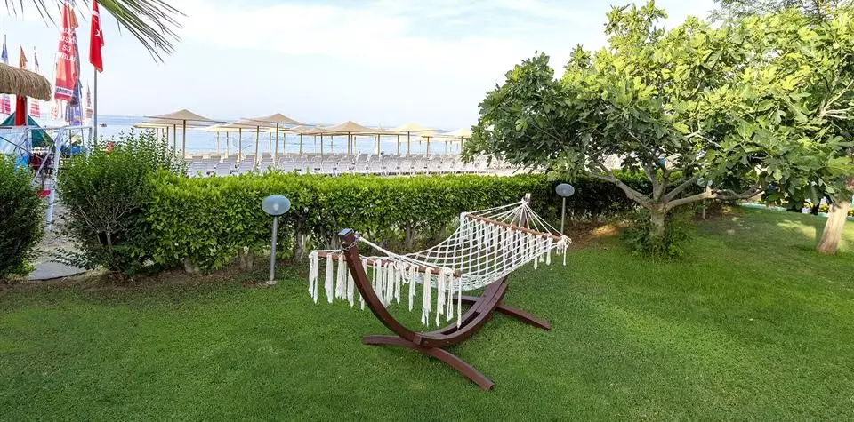 لیکوس بیچ آلانیا