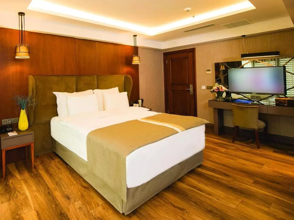 وی استانبول