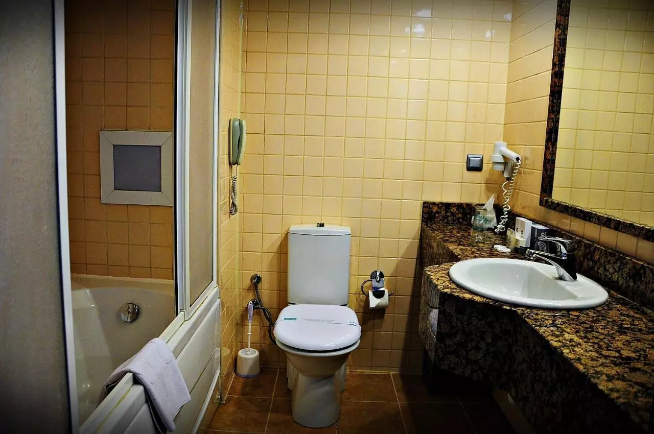 فرونیا استانبول