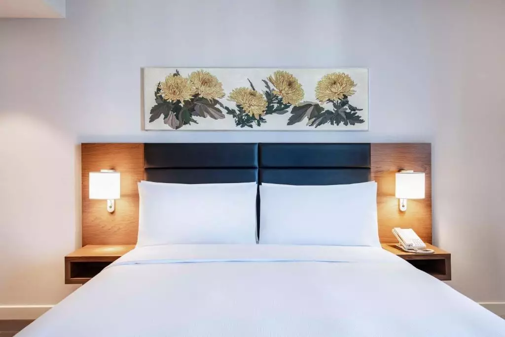 هیلتون گاردن این چاوچاوادزه تفلیس