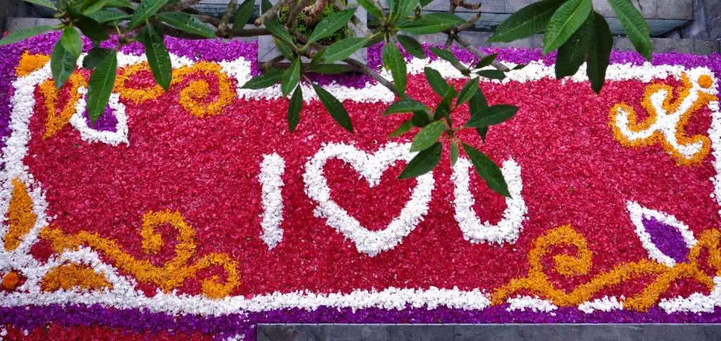 مت لند ونیا اوبود