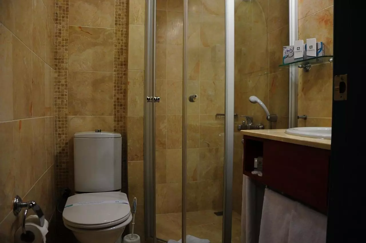 فرونیا استانبول