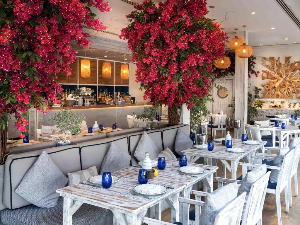 ریکسوس پریمیوم دبی جی بی آر