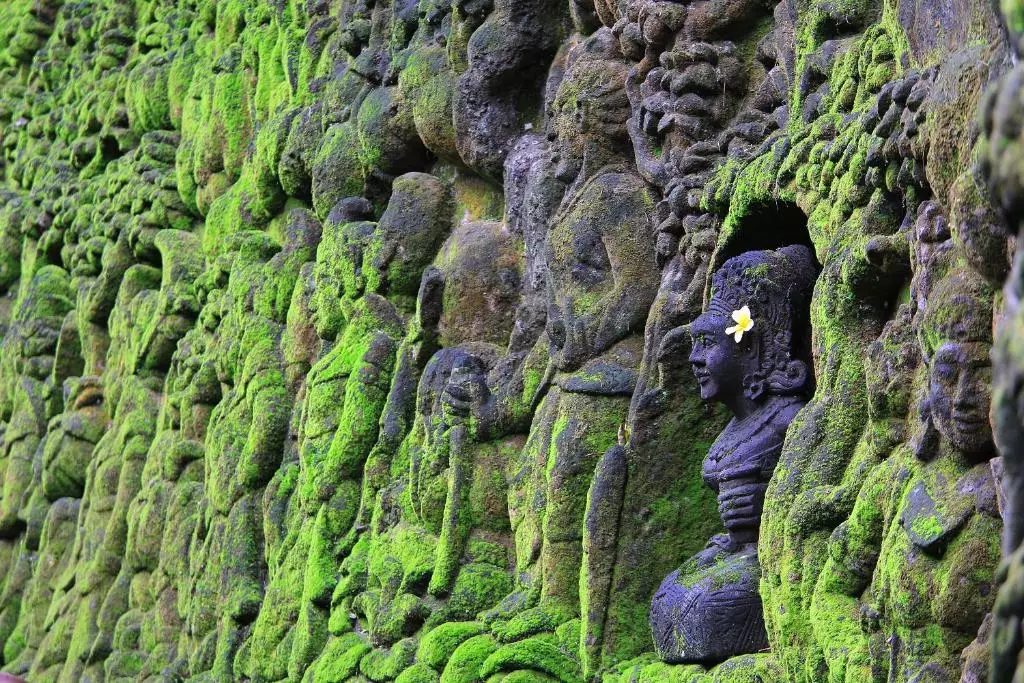 کایون ریزورت