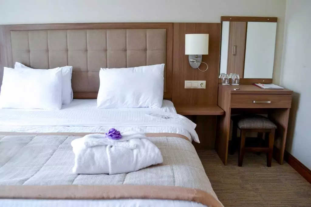 اسپوتنیک باتومی