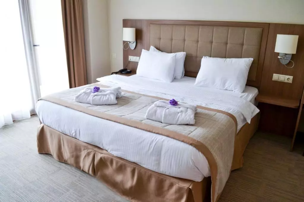 اسپوتنیک باتومی