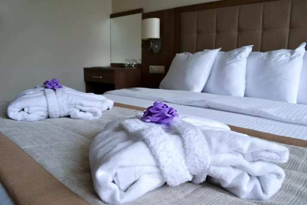 اسپوتنیک باتومی