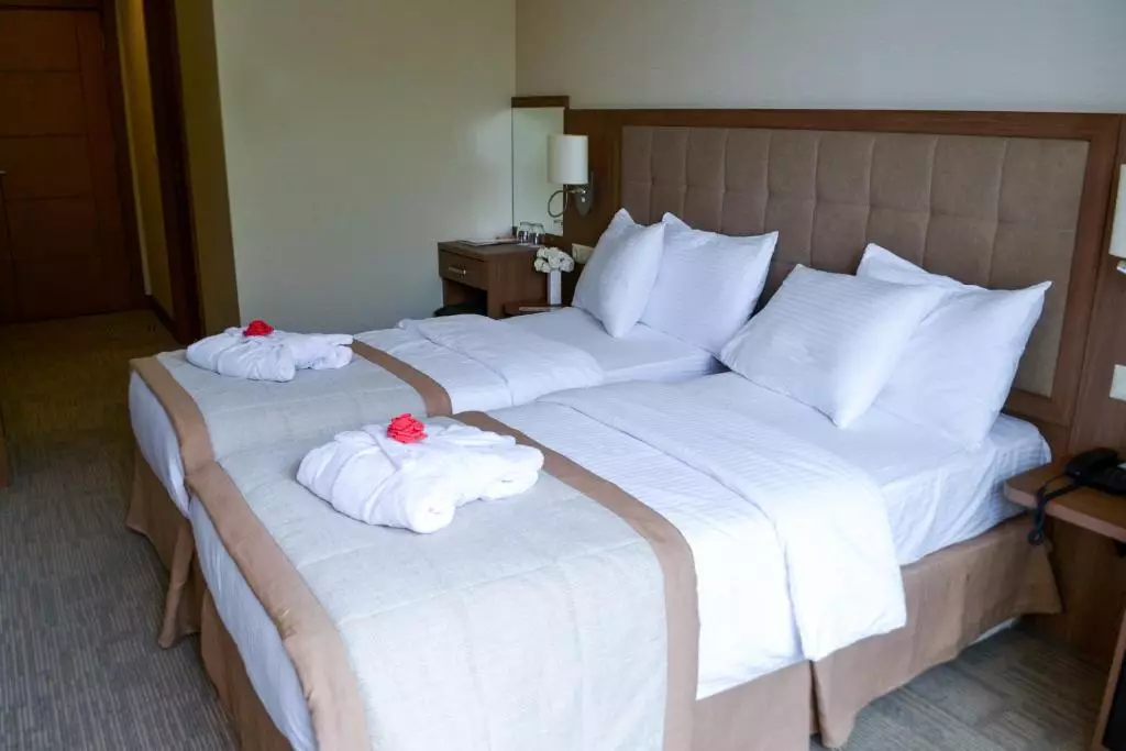 اسپوتنیک باتومی