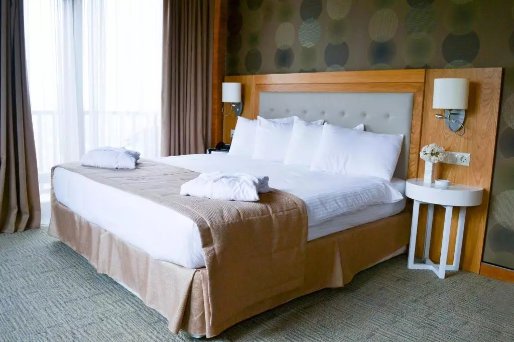 اسپوتنیک باتومی