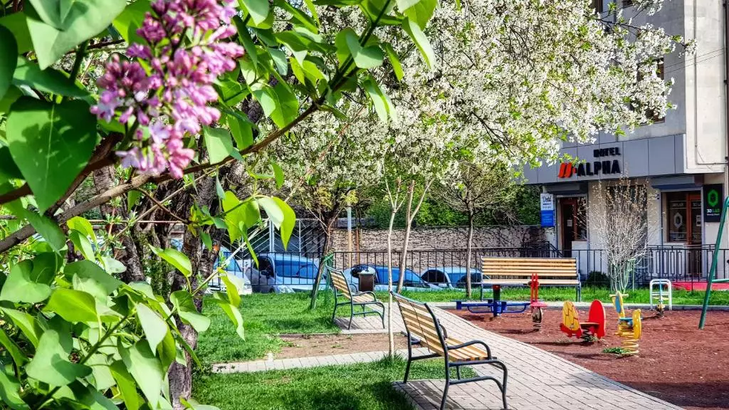 آلفا ایروان