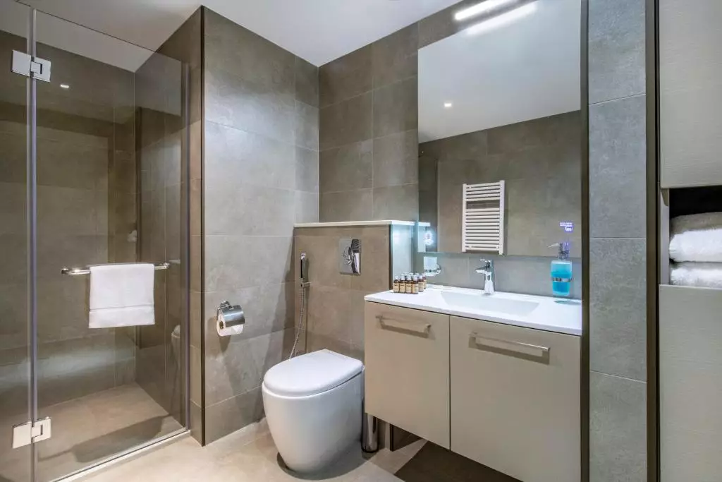 آلیانس پالاس باتومی