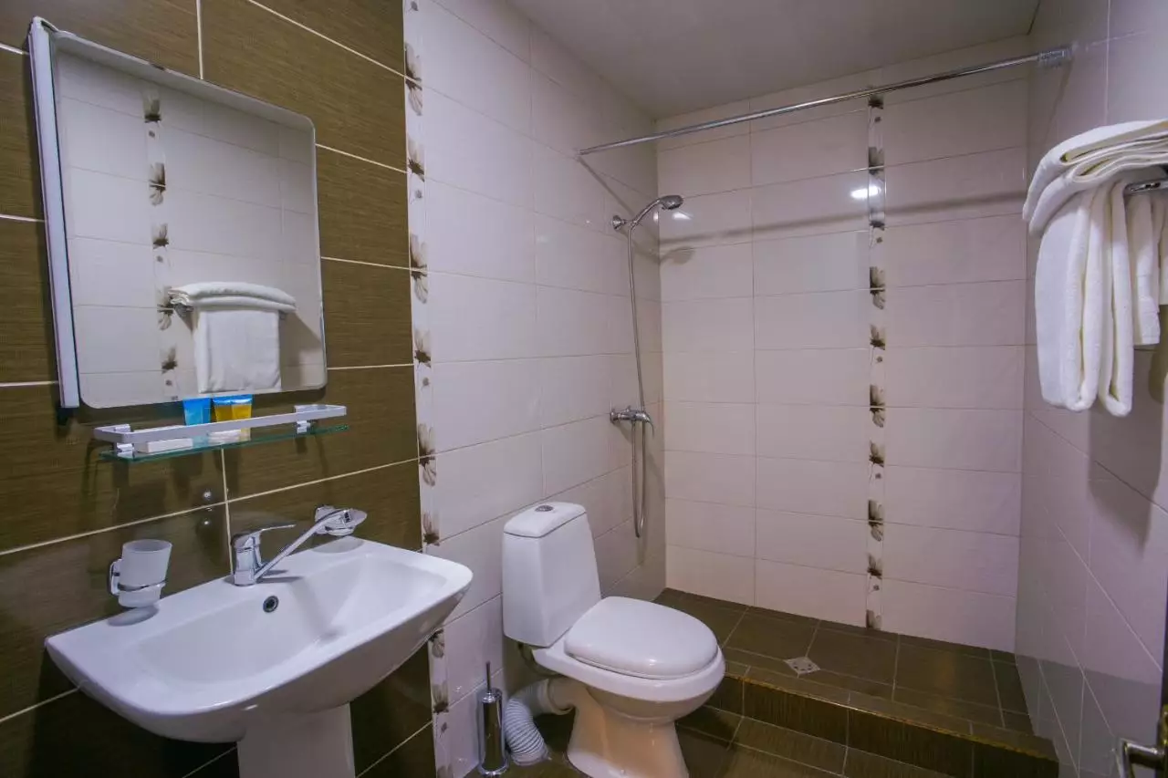 آنی سنترال این ایروان