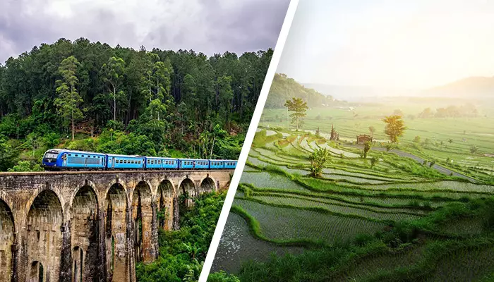 بالی یا سریلانکا