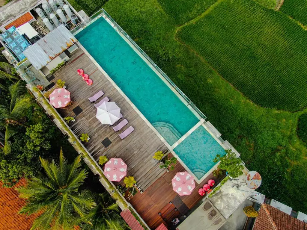 اویتل ریزورت ابود