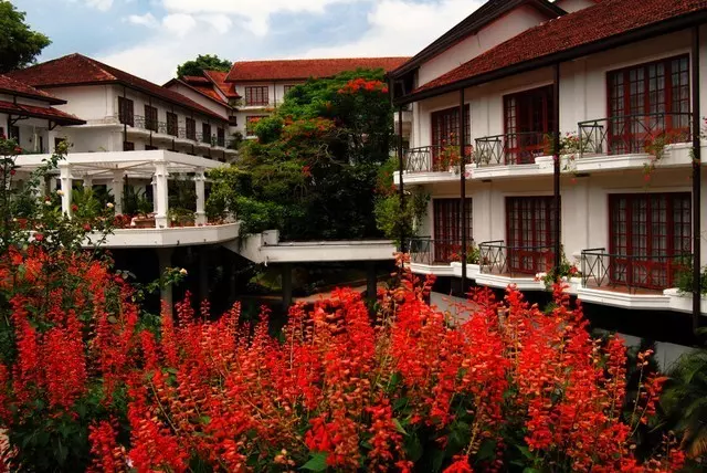 ماهاولی ریچ