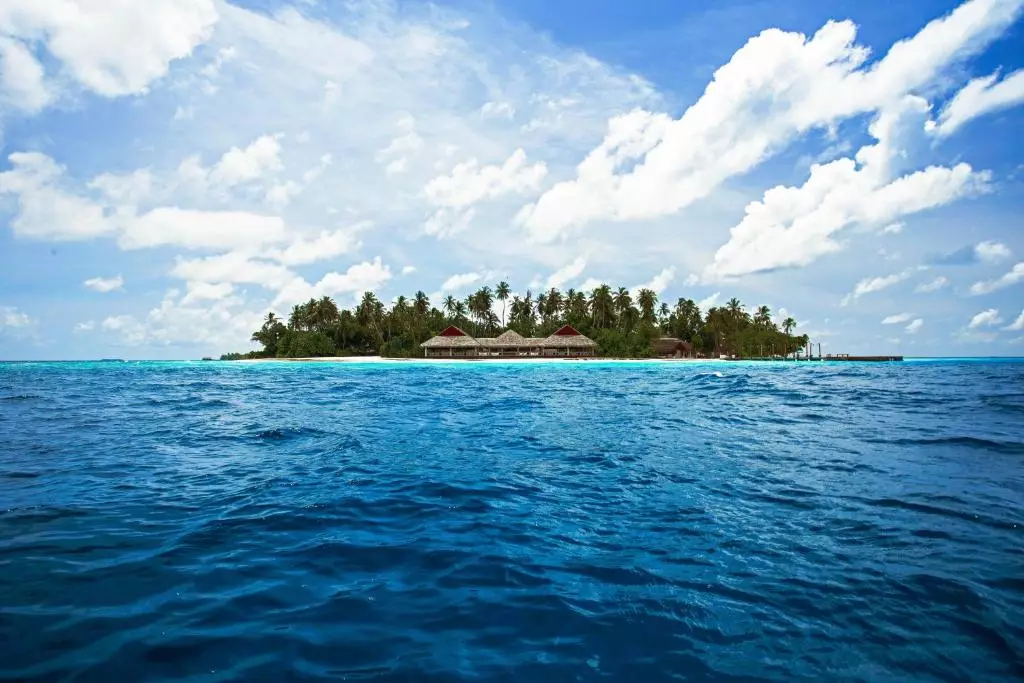 مالاهینی کودا