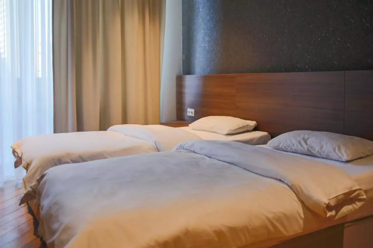 نینا پالاس تفلیس