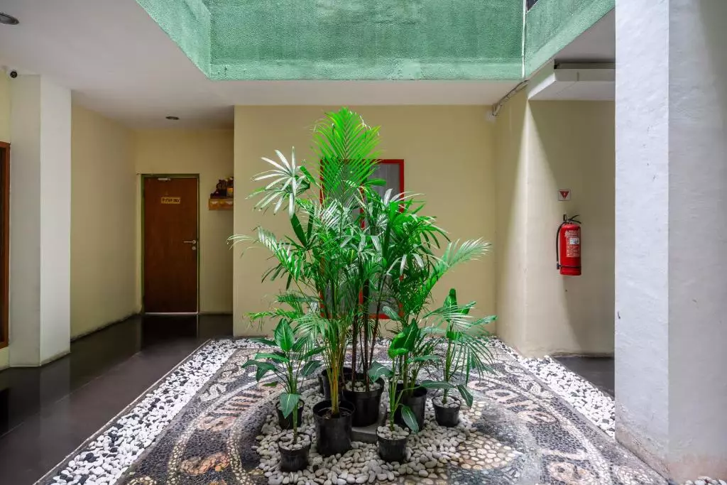 اسپاتزیو بالی