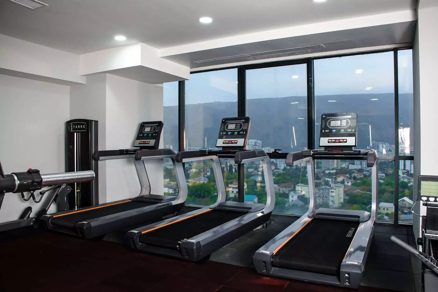 رویال تولیپ تفلیس