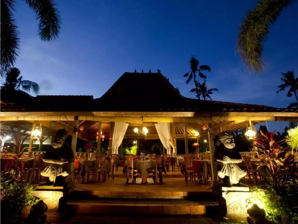 وایت رز کوتا ریزورت