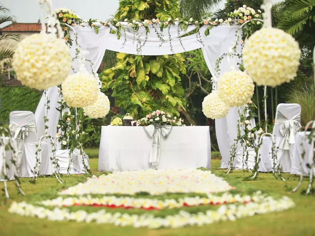 وایت رز کوتا ریزورت